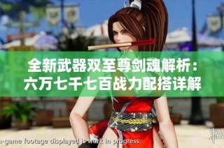 全新武器双至尊剑魂解析：六万七千七百战力配搭详解