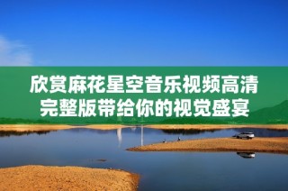 欣赏麻花星空音乐视频高清完整版带给你的视觉盛宴