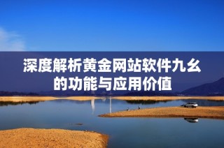 深度解析黄金网站软件九幺的功能与应用价值