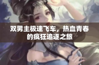 双男主极速飞车，热血青春的疯狂追逐之旅