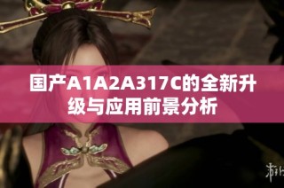 国产A1A2A317C的全新升级与应用前景分析