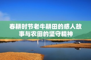 春耕时节老牛耕田的感人故事与农田的坚守精神