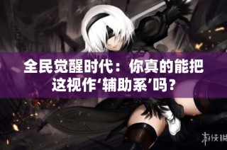 全民觉醒时代：你真的能把这视作‘辅助系’吗？
