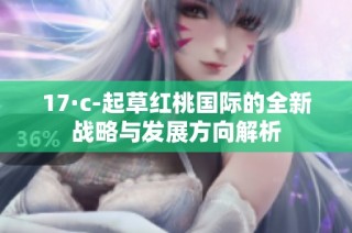 17·c-起草红桃国际的全新战略与发展方向解析