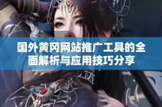 国外黄冈网站推广工具的全面解析与应用技巧分享
