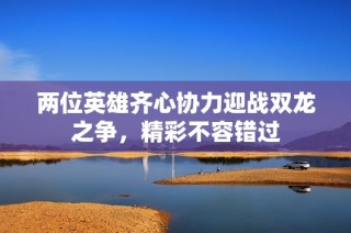 两位英雄齐心协力迎战双龙之争，精彩不容错过