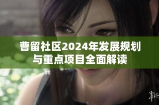 曹留社区2024年发展规划与重点项目全面解读