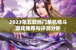 2023年五款热门单机格斗游戏推荐与评测分析