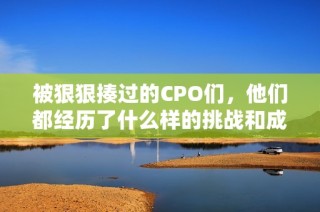 被狠狠揍过的CPO们，他们都经历了什么样的挑战和成长