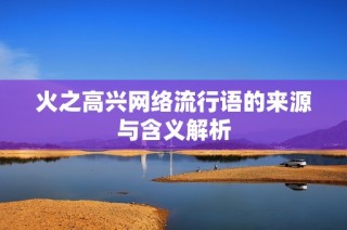 火之高兴网络流行语的来源与含义解析