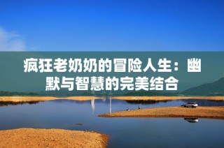 疯狂老奶奶的冒险人生：幽默与智慧的完美结合