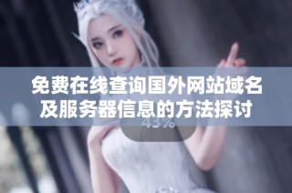 免费在线查询国外网站域名及服务器信息的方法探讨