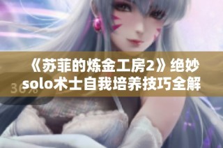 《苏菲的炼金工房2》绝妙solo术士自我培养技巧全解析