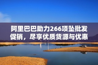 阿里巴巴助力266项坠批发促销，尽享优质货源与优惠价格