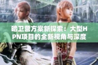 暗卫营方案新探索：大型HPN项目的全新视角与深度分析