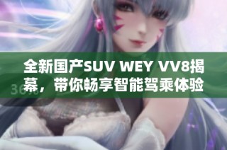 全新国产SUV WEY VV8揭幕，带你畅享智能驾乘体验