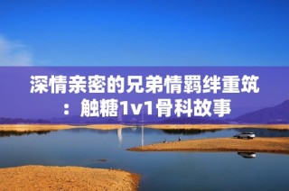 深情亲密的兄弟情羁绊重筑：触糖1v1骨科故事