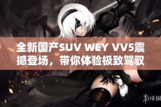全新国产SUV WEY VV5震撼登场，带你体验极致驾驭快感
