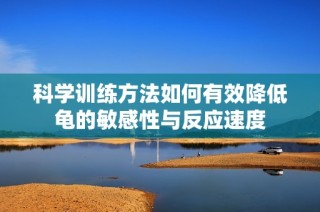 科学训练方法如何有效降低龟的敏感性与反应速度