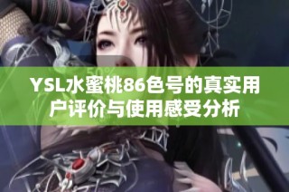 YSL水蜜桃86色号的真实用户评价与使用感受分析
