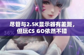 尽管与2.5K显示器有差距，但玩CS GO依然不错