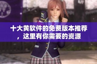 十大黄软件的免费版本推荐，这里有你需要的资源