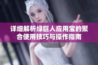 详细解析绿巨人应用宝的聚合使用技巧与操作指南
