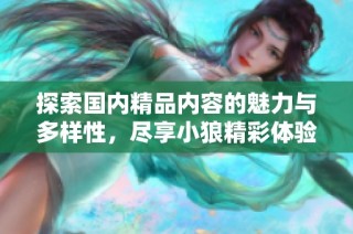 探索国内精品内容的魅力与多样性，尽享小狼精彩体验