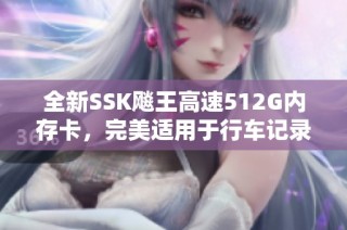 全新SSK飚王高速512G内存卡，完美适用于行车记录仪与手机