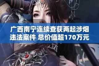 广西南宁连续查获两起涉烟违法案件 总价值超170万元