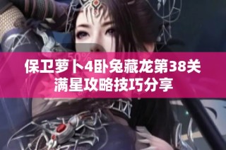 保卫萝卜4卧兔藏龙第38关满星攻略技巧分享