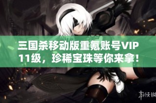 三国杀移动版重氪账号VIP11级，珍稀宝珠等你来拿！