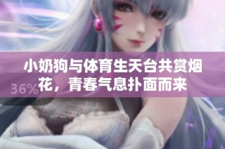 小奶狗与体育生天台共赏烟花，青春气息扑面而来