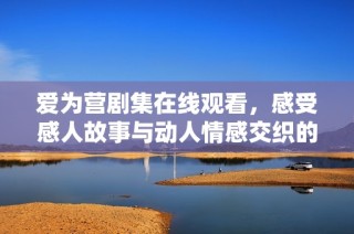 爱为营剧集在线观看，感受感人故事与动人情感交织的魅力