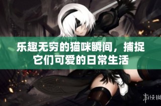 乐趣无穷的猫咪瞬间，捕捉它们可爱的日常生活