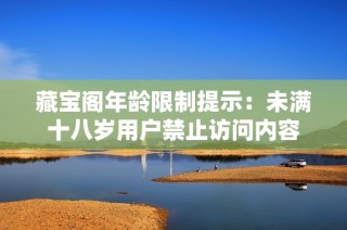 藏宝阁年龄限制提示：未满十八岁用户禁止访问内容