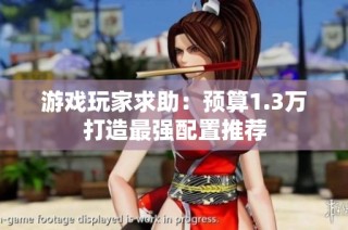 游戏玩家求助：预算1.3万打造最强配置推荐