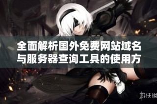 全面解析国外免费网站域名与服务器查询工具的使用方法