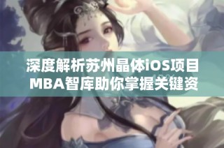 深度解析苏州晶体iOS项目 MBA智库助你掌握关键资讯