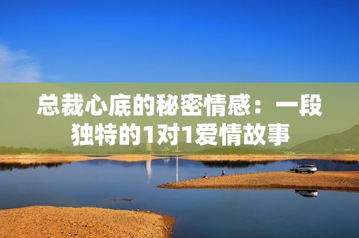总裁心底的秘密情感：一段独特的1对1爱情故事
