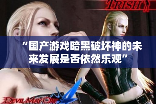 “国产游戏暗黑破坏神的未来发展是否依然乐观”