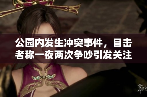 公园内发生冲突事件，目击者称一夜两次争吵引发关注