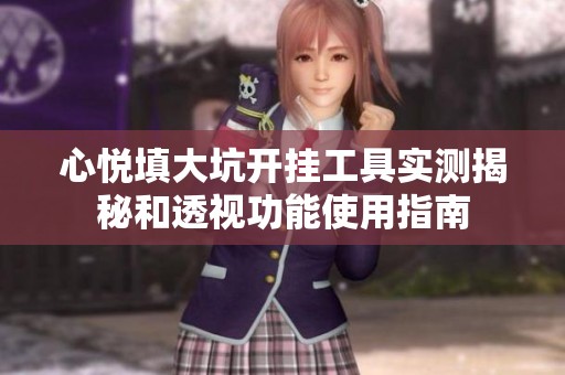 心悦填大坑开挂工具实测揭秘和透视功能使用指南