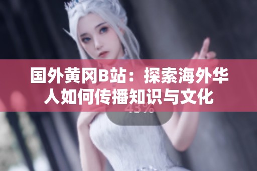 国外黄冈B站：探索海外华人如何传播知识与文化