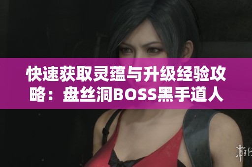 快速获取灵蕴与升级经验攻略：盘丝洞BOSS黑手道人详解