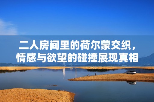二人房间里的荷尔蒙交织，情感与欲望的碰撞展现真相