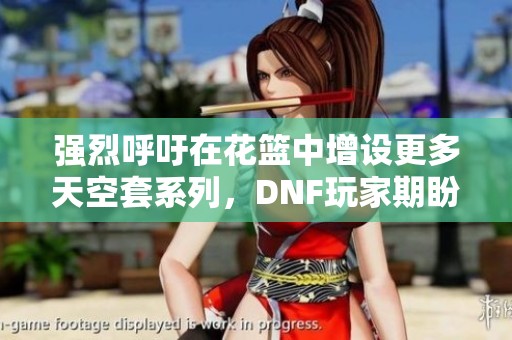 强烈呼吁在花篮中增设更多天空套系列，DNF玩家期盼新内容