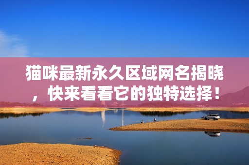 猫咪最新永久区域网名揭晓，快来看看它的独特选择！