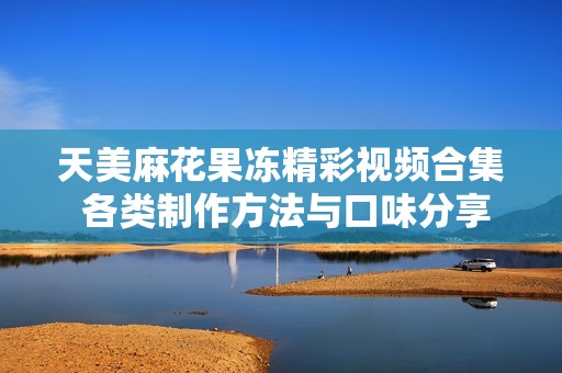 天美麻花果冻精彩视频合集 各类制作方法与口味分享