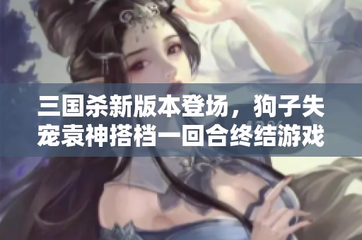 三国杀新版本登场，狗子失宠袁神搭档一回合终结游戏